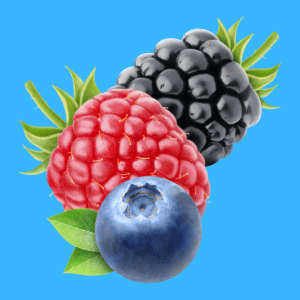 Cartoon graphic of lots of mixed berries on blue background.