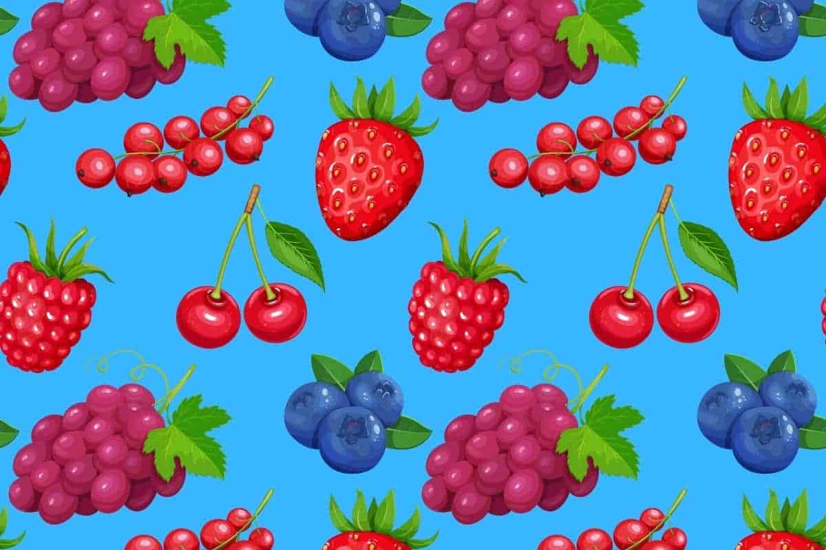 35 Funny Berry Puns Here's a Joke
