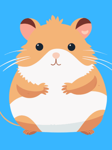 graphic of hamster on blue background.
