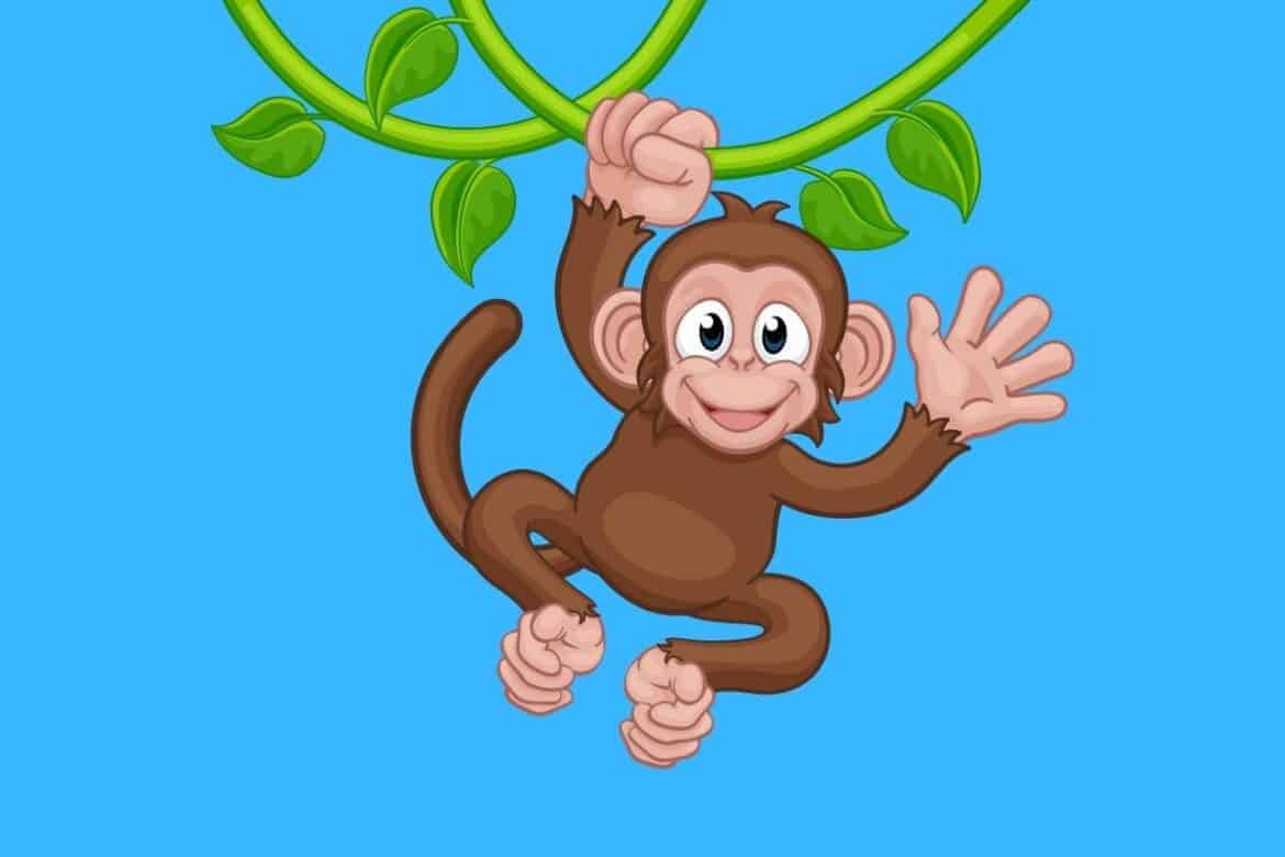 60 Jokes About Monkeys Here's a Joke