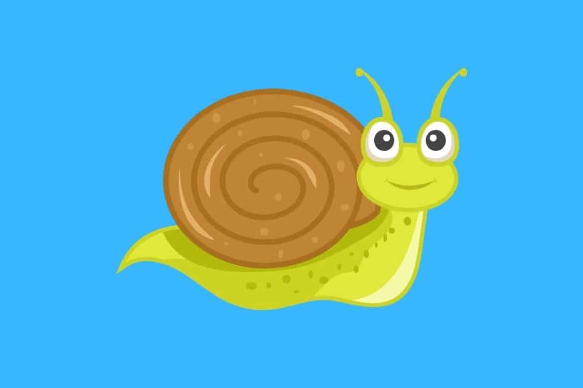 50 Funny Snail Jokes Here's a Joke