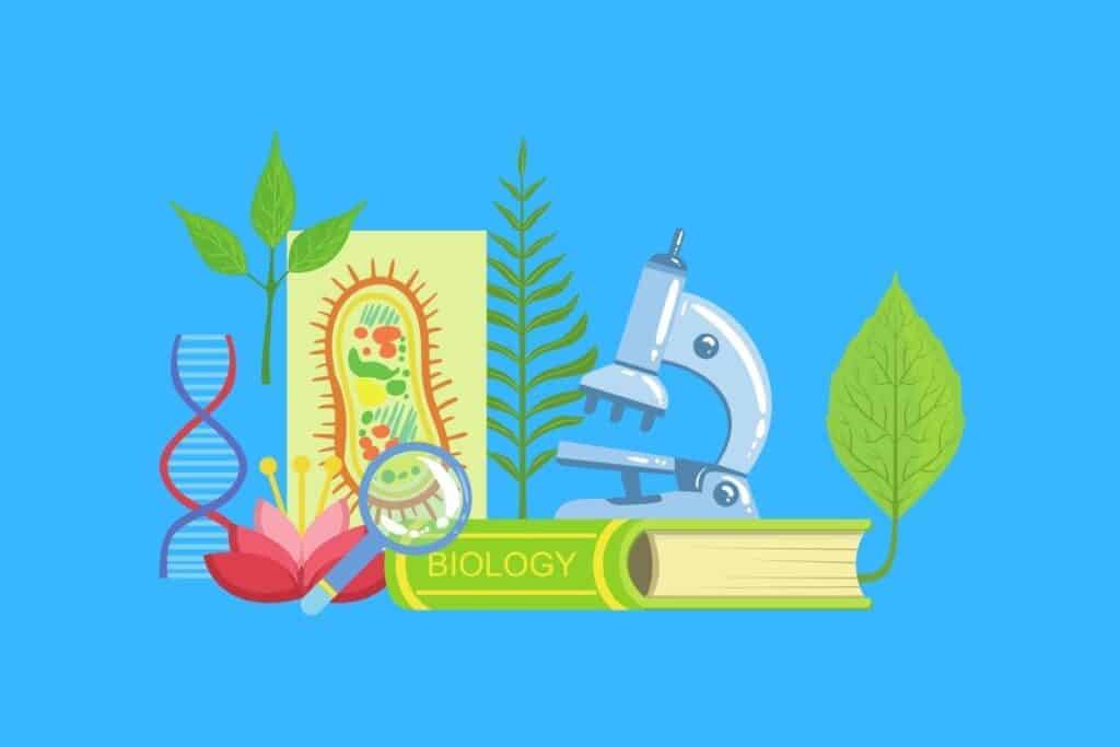 Cartoon graphic of biological equipment and items on blue background.