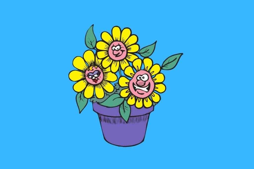 Cartoon graphic of 3 flowers with faces in a pot on blue background.