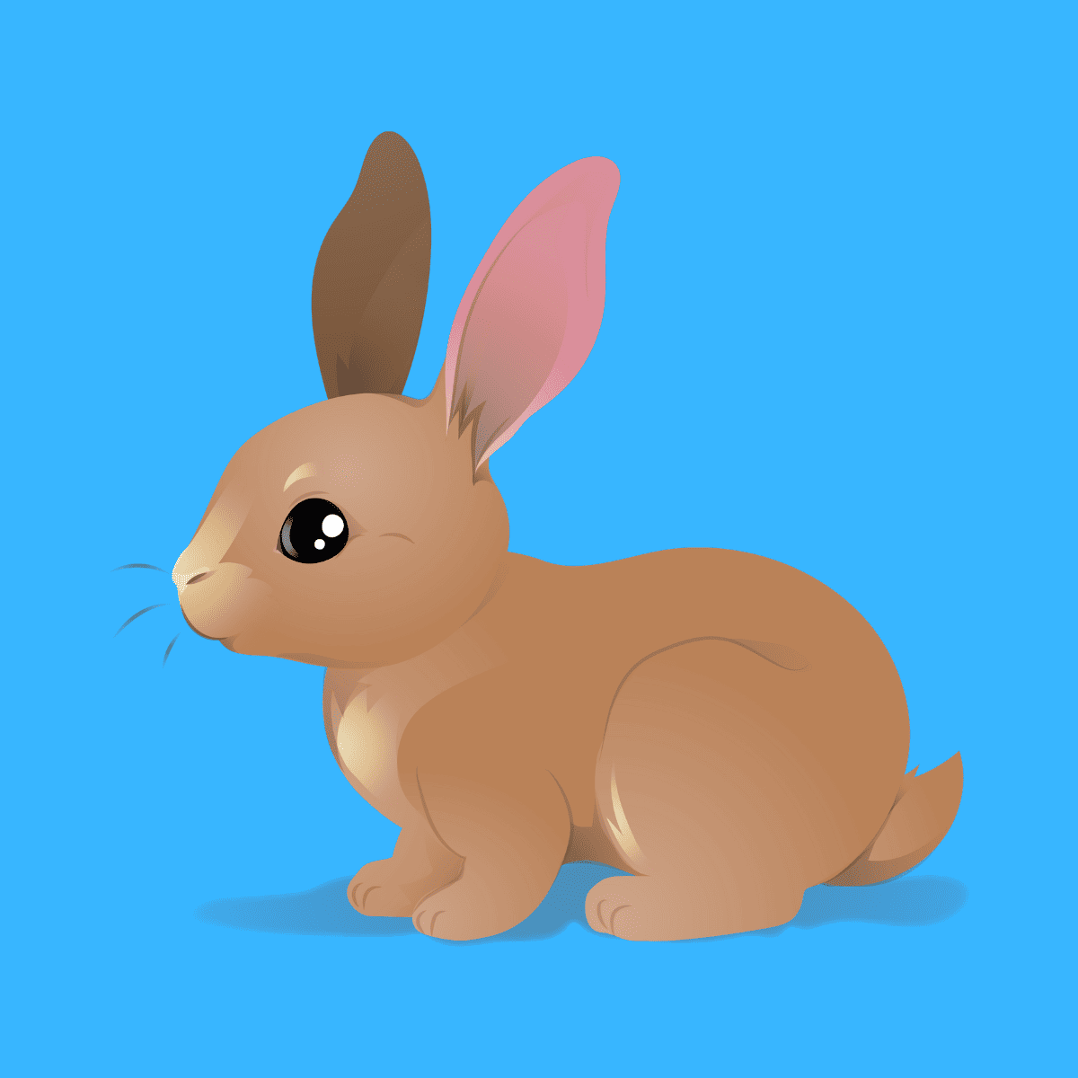 brown cartoon bunny with blue background.