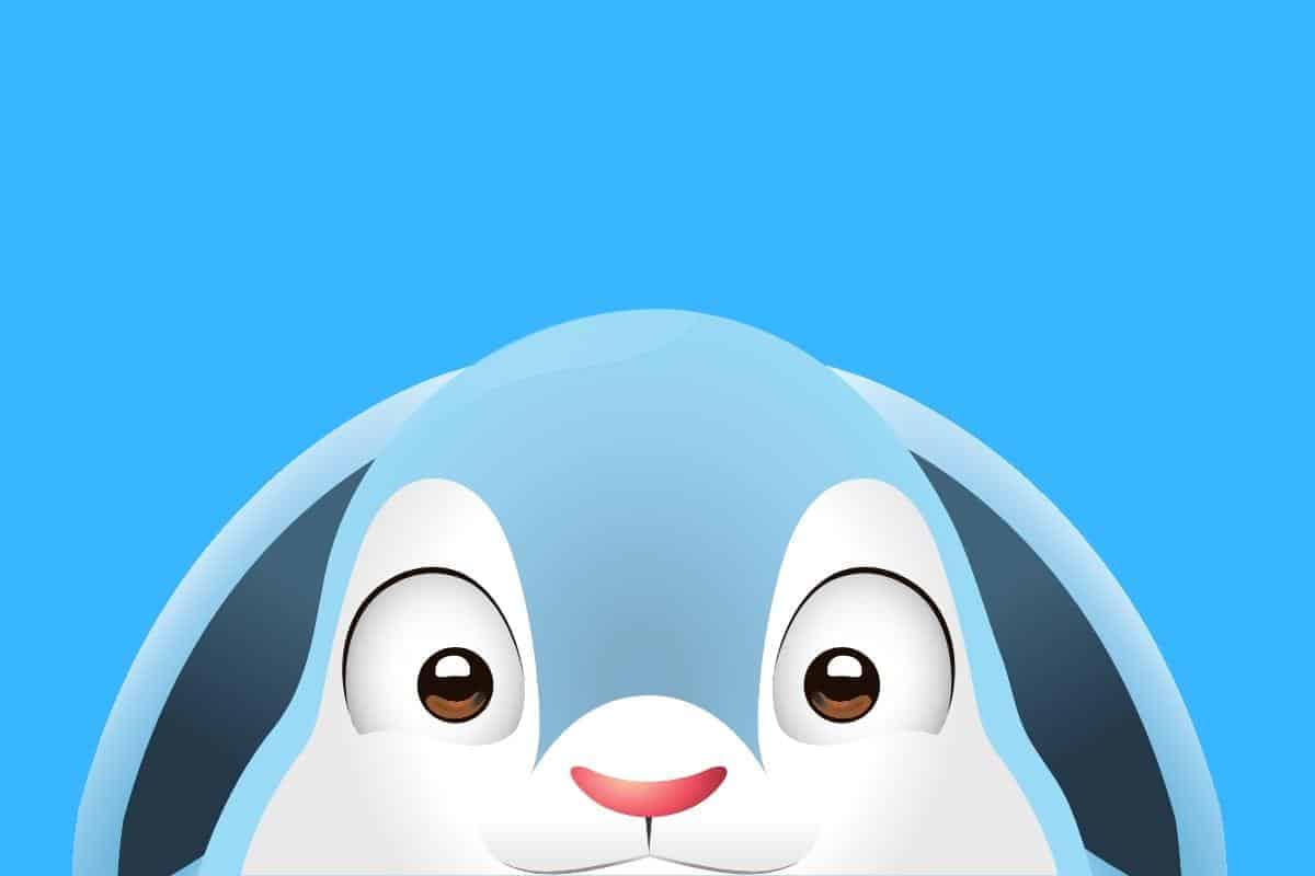 graphic of close up adult rabbit with blue background.