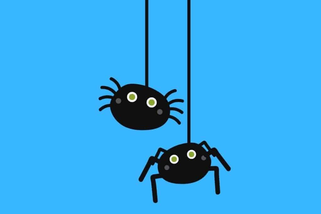 Cartoon graphic of two black spiders hanging on blue background.