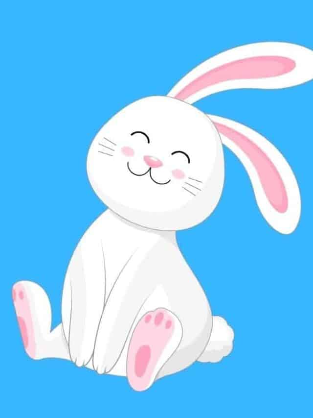 graphic of adult rabbit smiling with blue background.