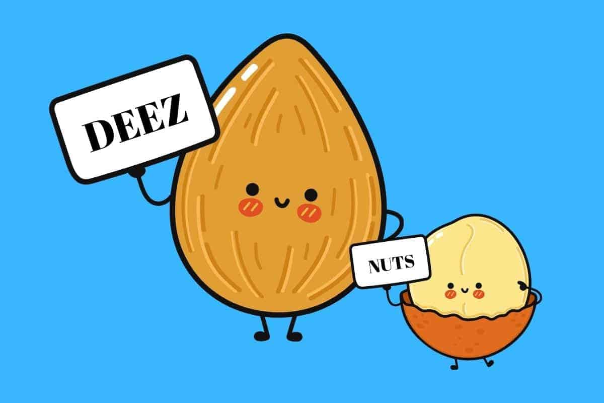 Cartoon graphic of two nut holding sign that together read deez nuts on blue background.