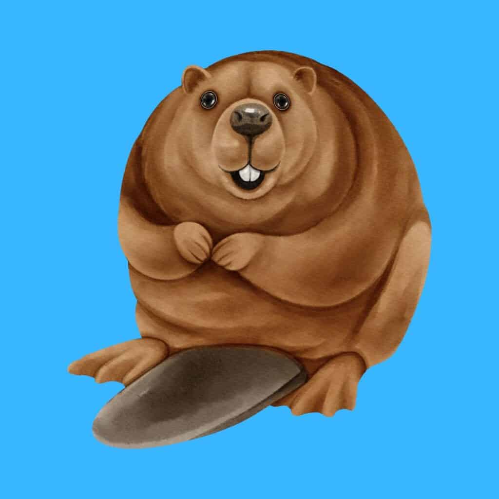 Cartoon beaver on blue background.