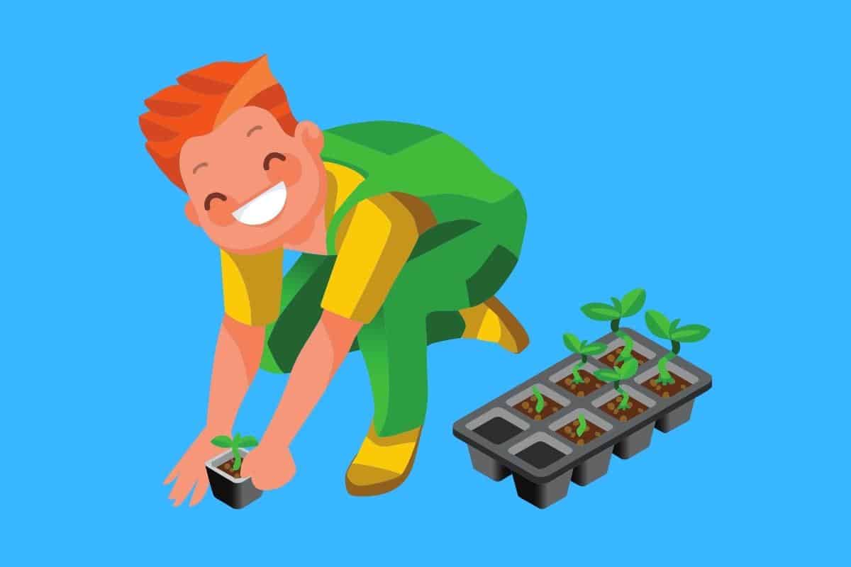 Cartoon graphic of person with seedling tray planting in garden on blue background.