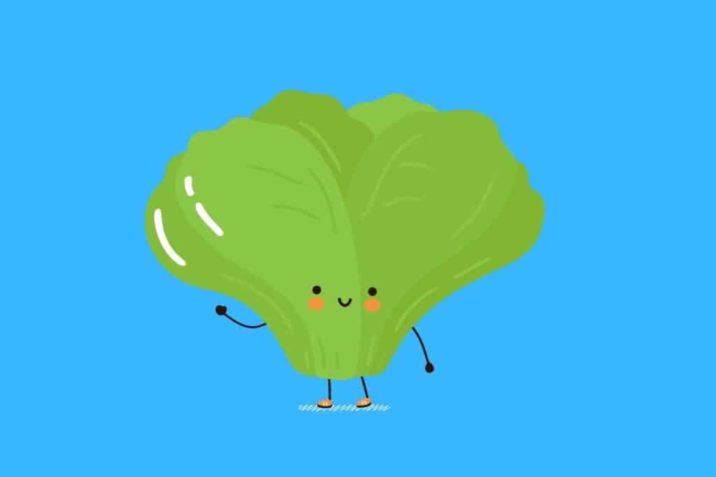 Cartoon graphic of lettuce waving and smiling on blue background.