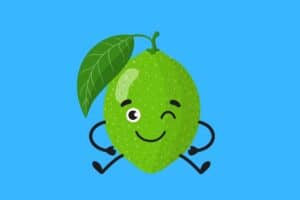 Cartoon graphic of winking and sitting lime on blue background.