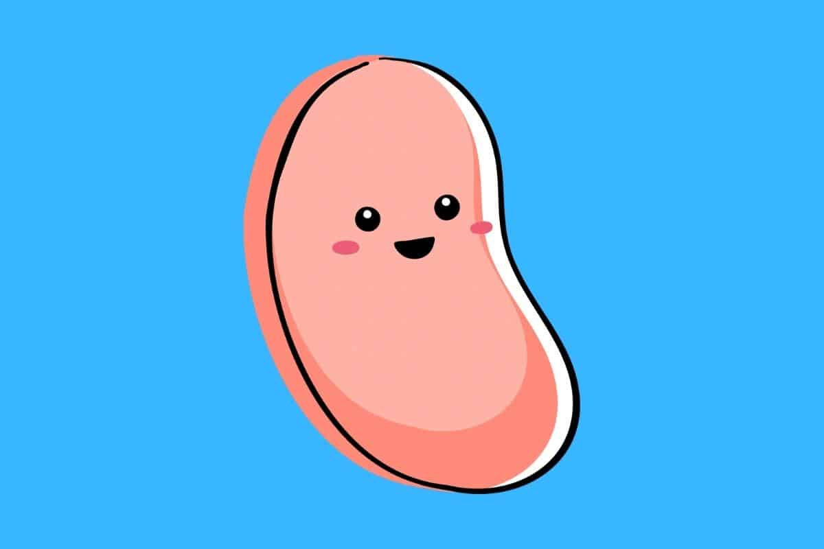 100 Funny Bean Puns Here's a Joke