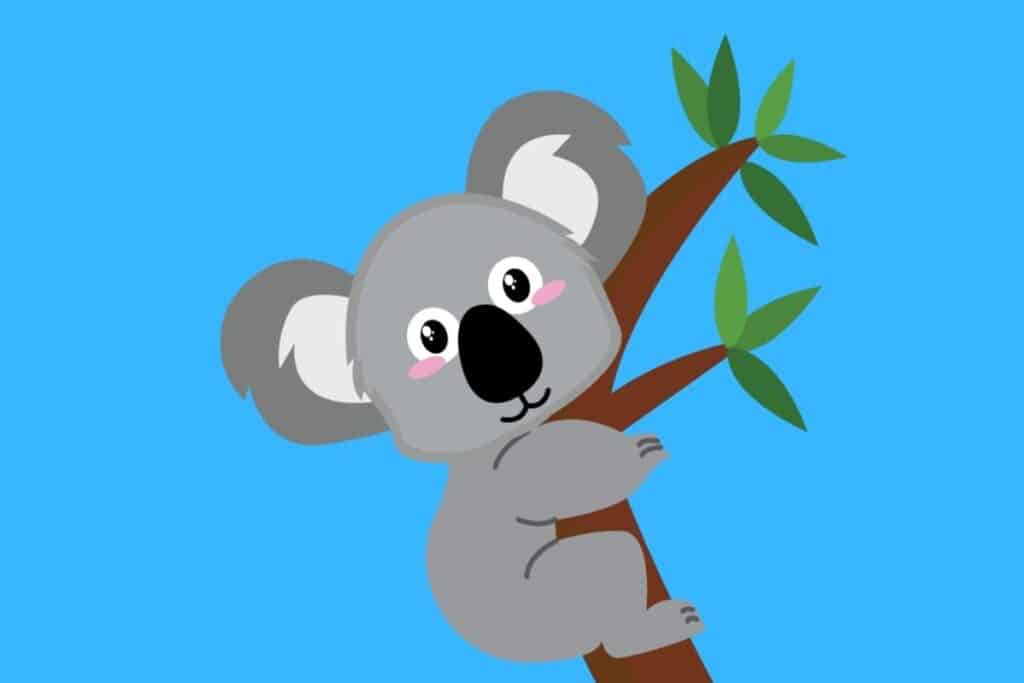60 Funny Koala Jokes - Here's a Joke