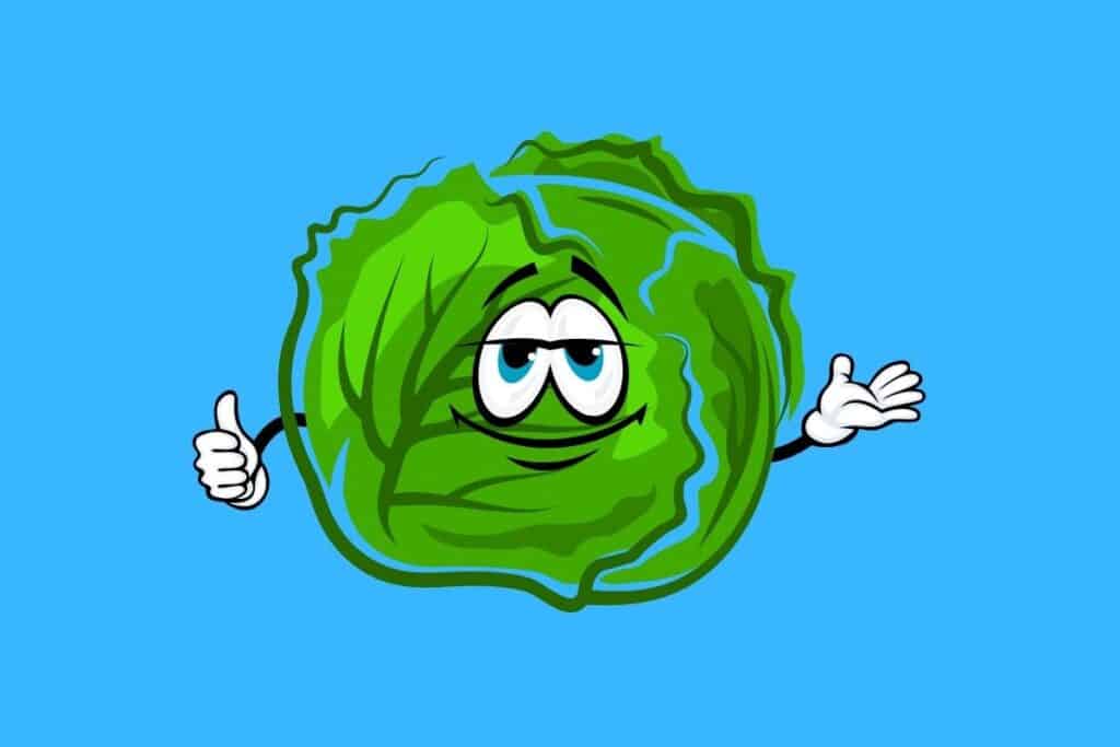 Cartoon graphic of lettuce with face and doing thumbs up sign with hand on blue background.