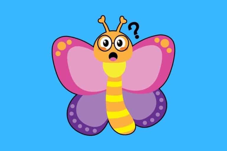 Cartoon graphic of confused butterfly on blue background.