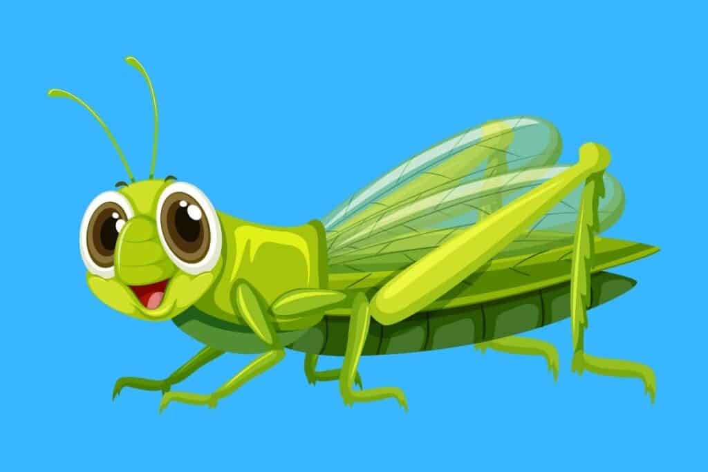 Cartoon graphic of green grasshoper smiling on blue background.