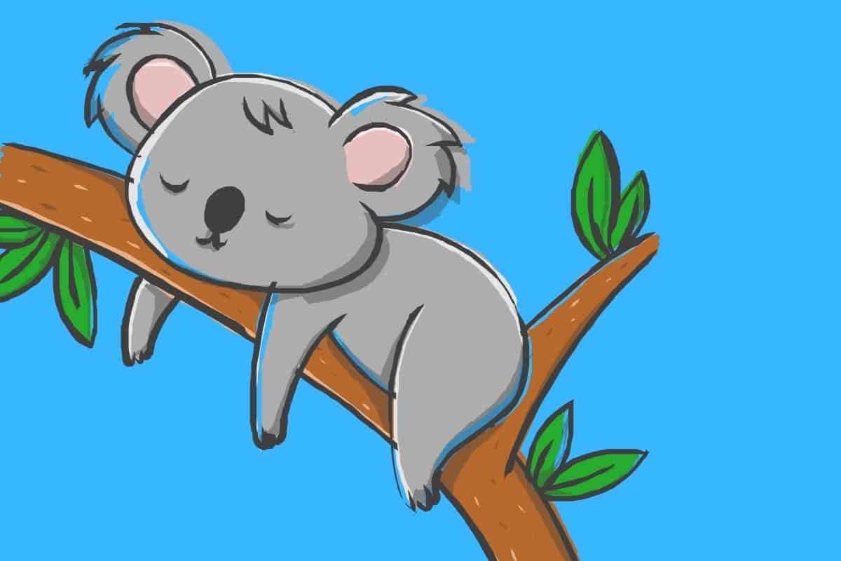 60 Funny Koala Jokes Here's a Joke