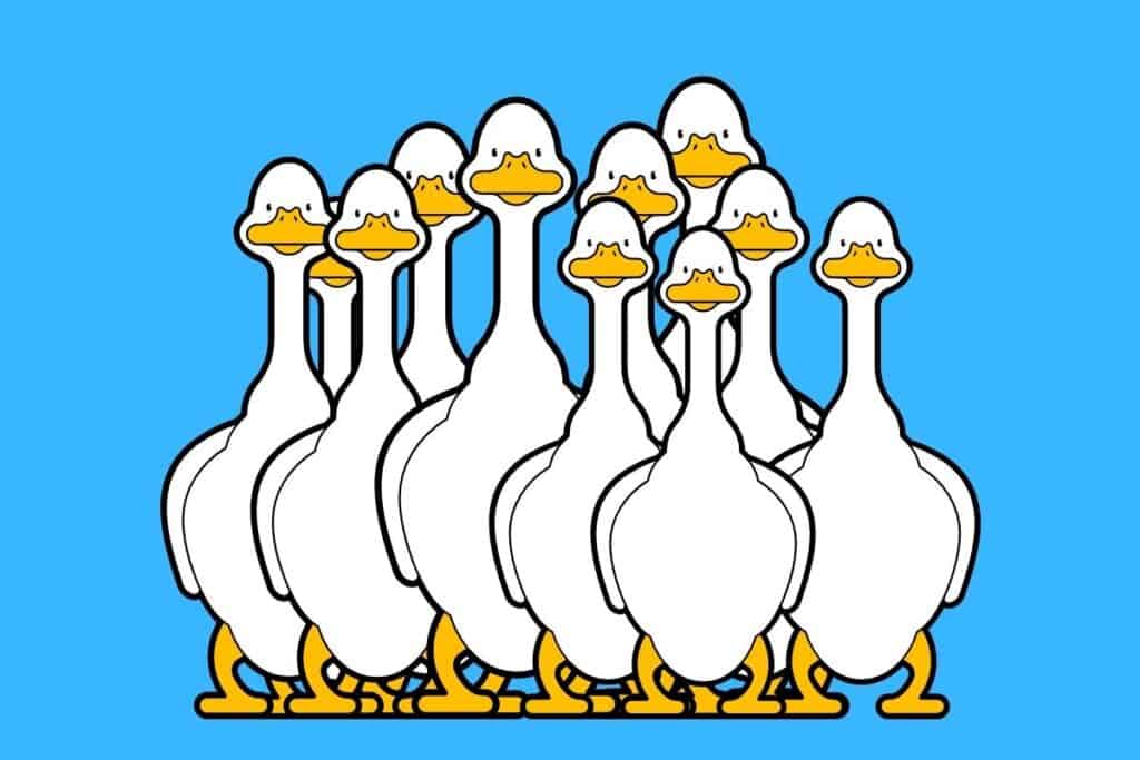 Cartoon graphic of lots of geese staring straight on on blue background.