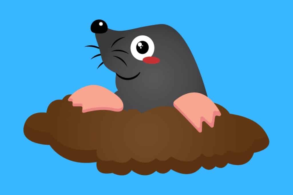 Cartoon graphic of a mole coming out of a hole on blue background.