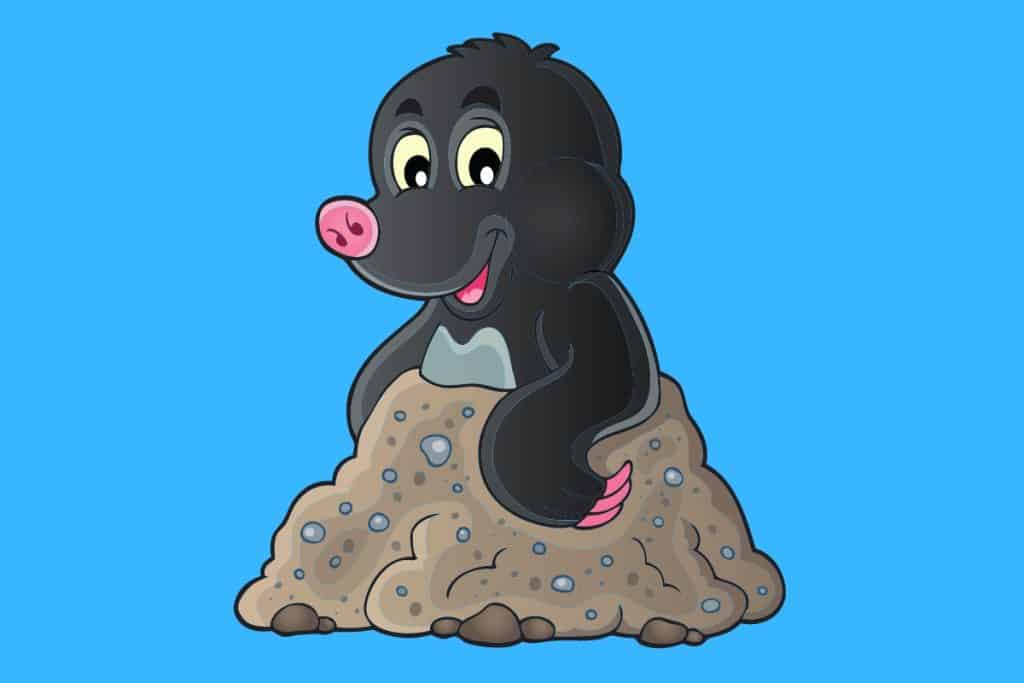 Cartoon graphic of a black smiling mole coming out of a hole on blue background.