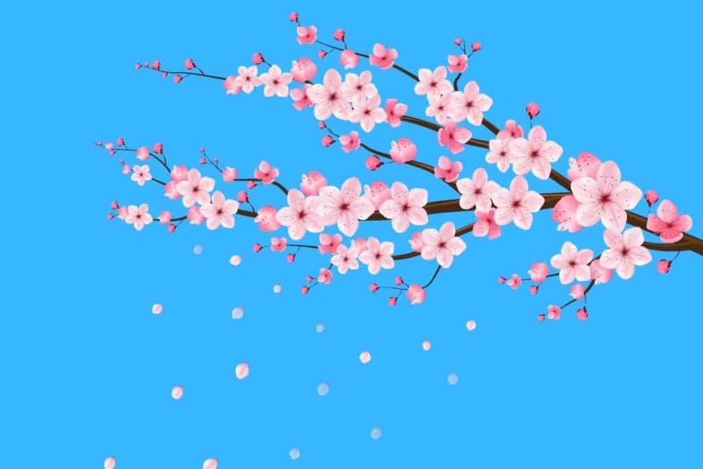 Cartoon graphic of a beautiful branch of pink flowers on a blue background.