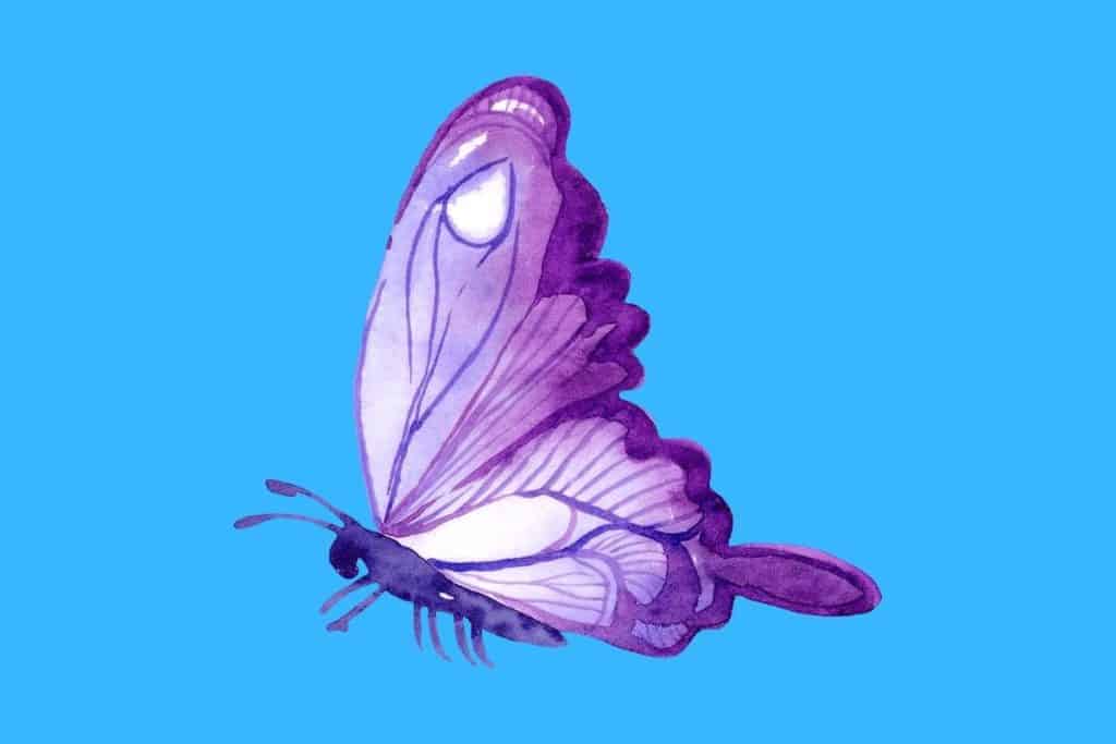 Cartoon graphic of a pretty purple butterfly on a blue background.