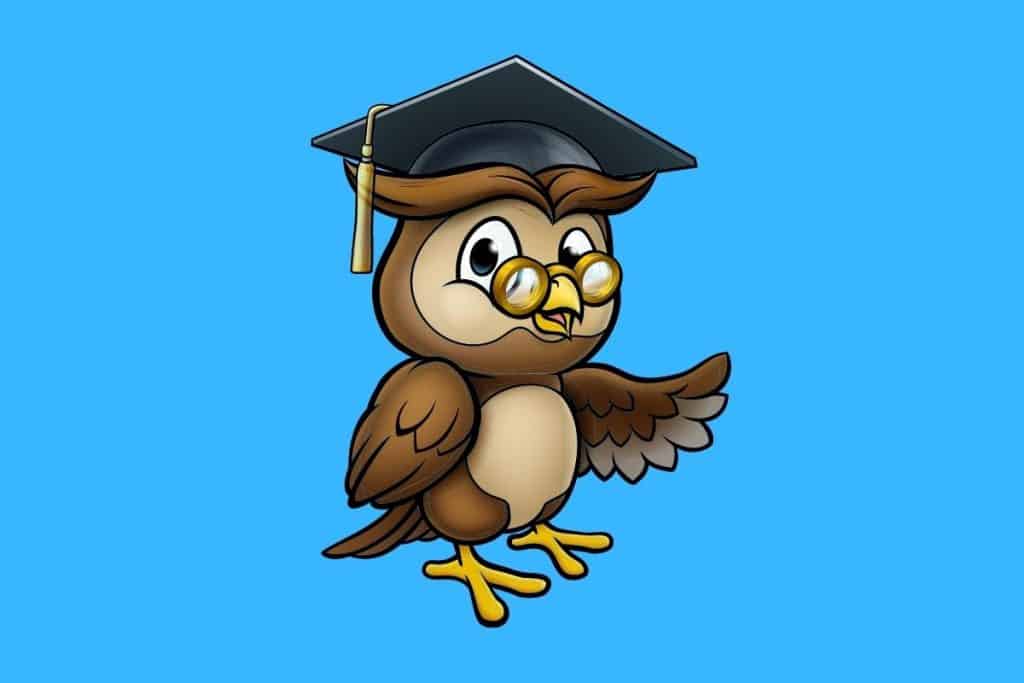 Cartoon graphic of an owl with an academics hat on a blue background.