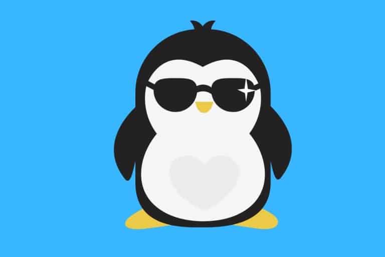 Cartoon graphic of a penguin wearing cool sunglasses on a blue background.