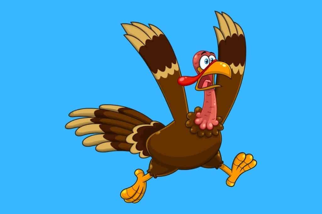 40 Funny Turkey Puns - Here's a Joke
