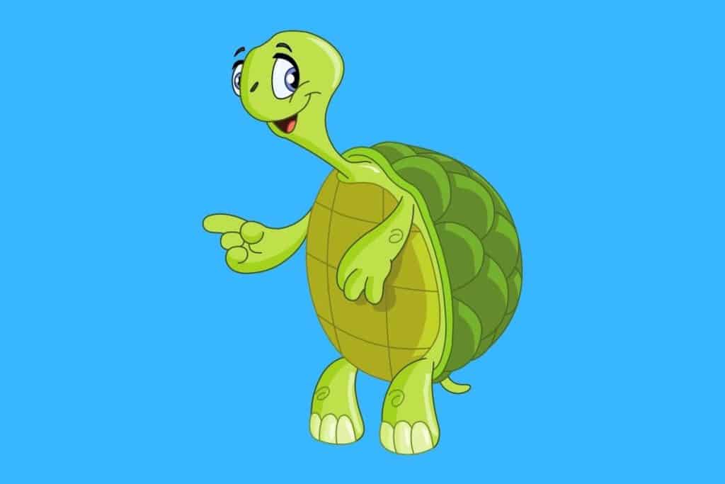 55 Funny Turtle Puns - Here's a Joke