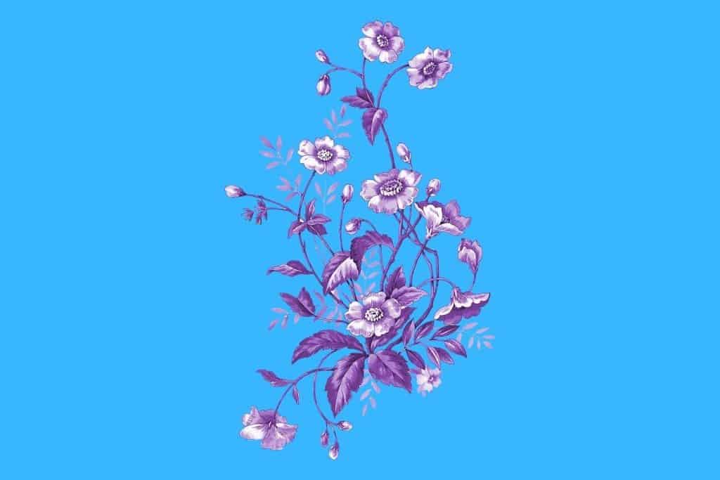 Cartoon graphic of pretty purple flowers on a blue background.