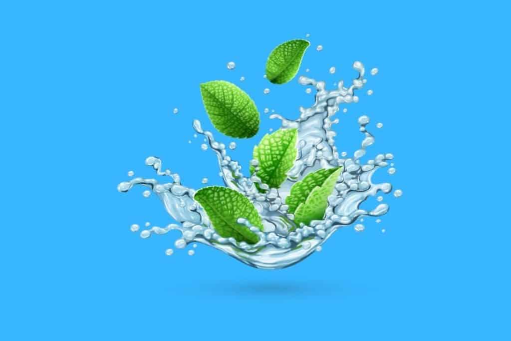 Cartoon graphic of mint leaves splashing into water on a blue background.