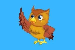 Cartoon graphic of an owl with one wing pointing up on a blue background.
