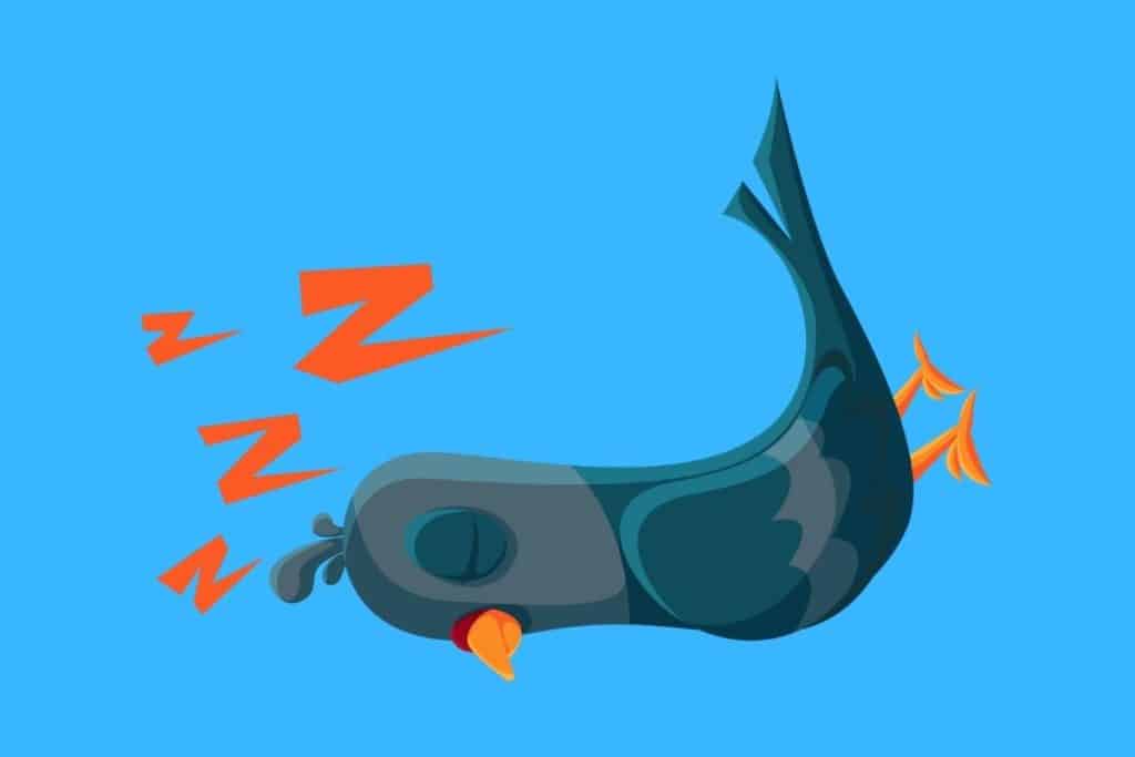 Cartoon graphic of a sleeping blue and grey pigeon on a blue background.