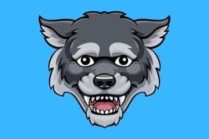 Cartoon graphic of a large wolfs head on a blue background.