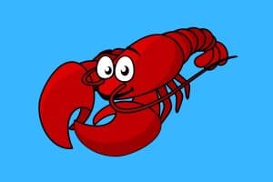 60 Funny Lobster Puns - Here's a Joke