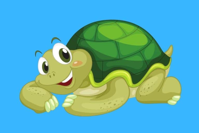 Cartoon graphic of a turtle curled up and smiling on a blue background.