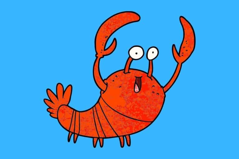 60 Funny Lobster Puns