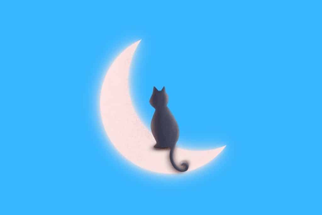 Cartoon graphic of a black cat sitting on the moon on a blue background.