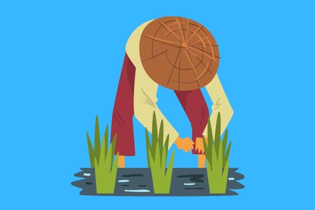 Cartoon graphic of a person harvesting rice on blue background.