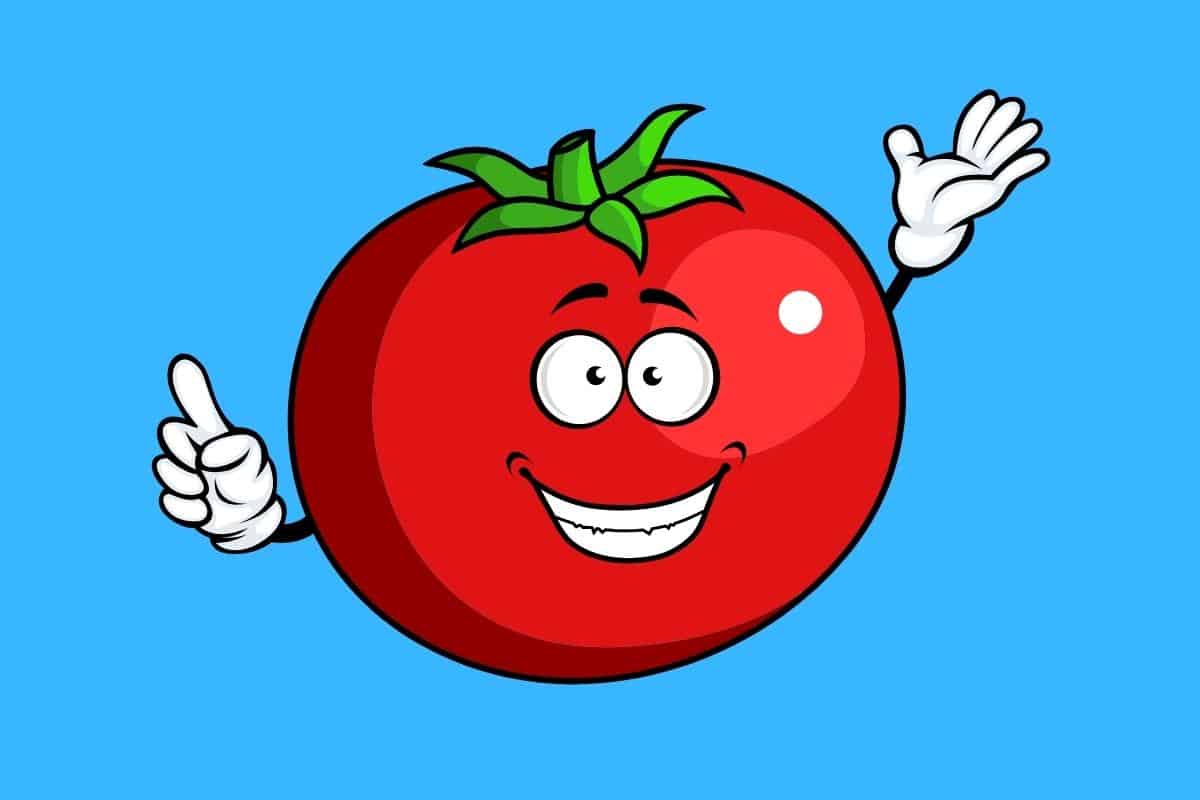 40 Funny Tomato Jokes Here's a Joke