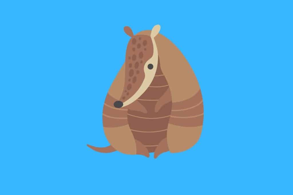 Cartoon graphic of an armadillo sitting on a blue background.