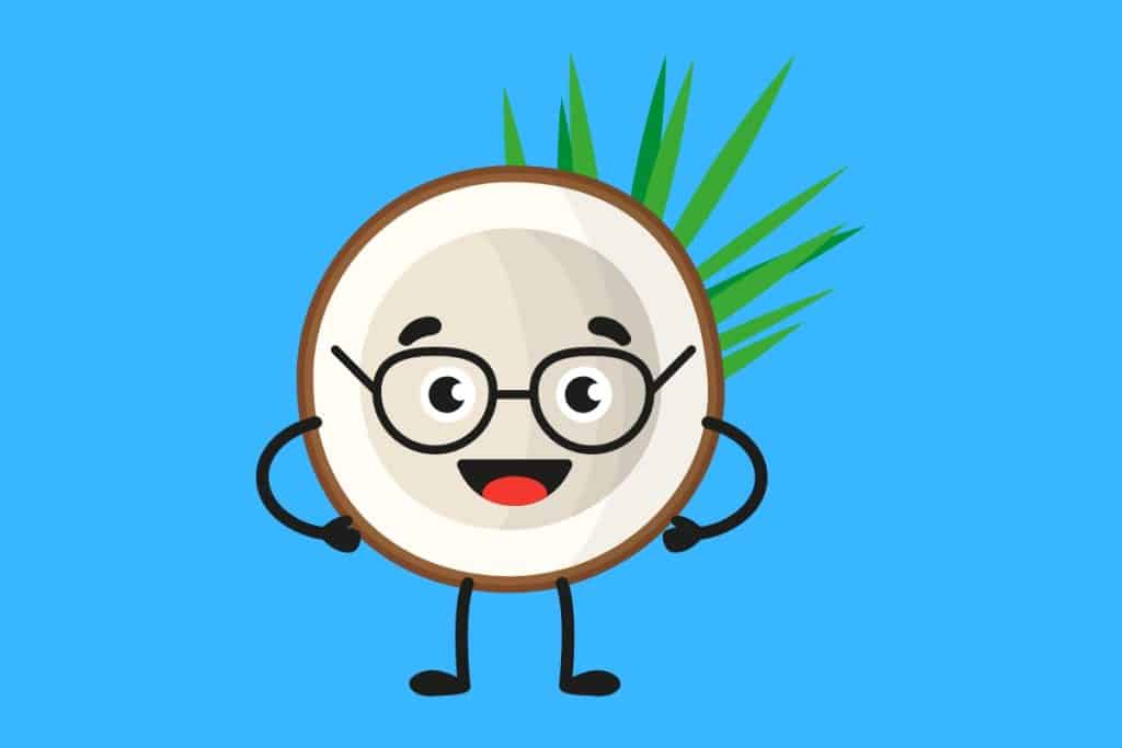 Cartoon graphic of a smiling half of a coconut wearing glasses with sharp long leaves behind on a blue background.