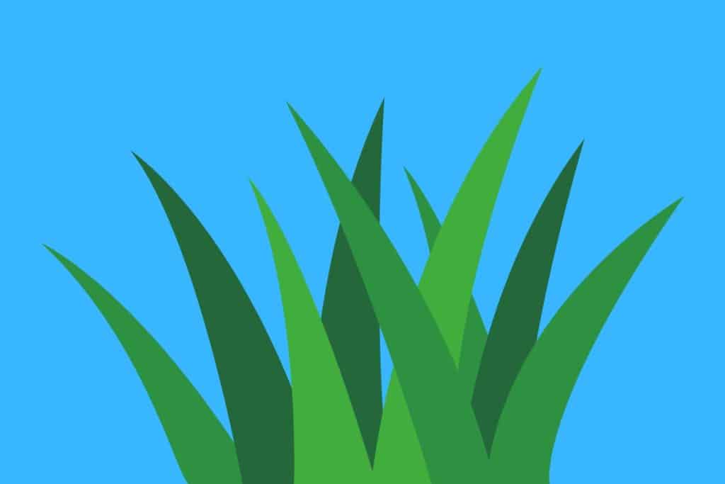 Cartoon graphic of blades of green grass on a blue background.