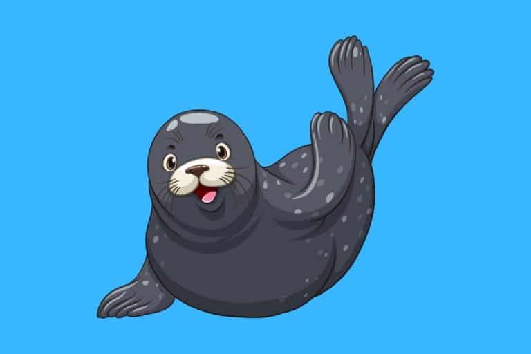 40 Funny Seal Puns - Here's a Joke