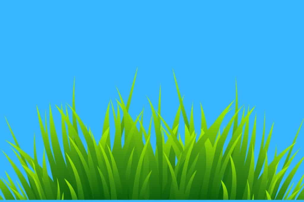 Cartoon graphic of lots of grass on a blue background.