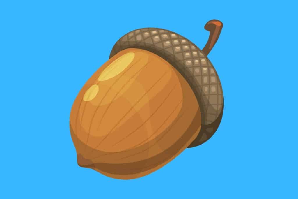 Cartoon graphic of a beautiful acorn on a blue background.