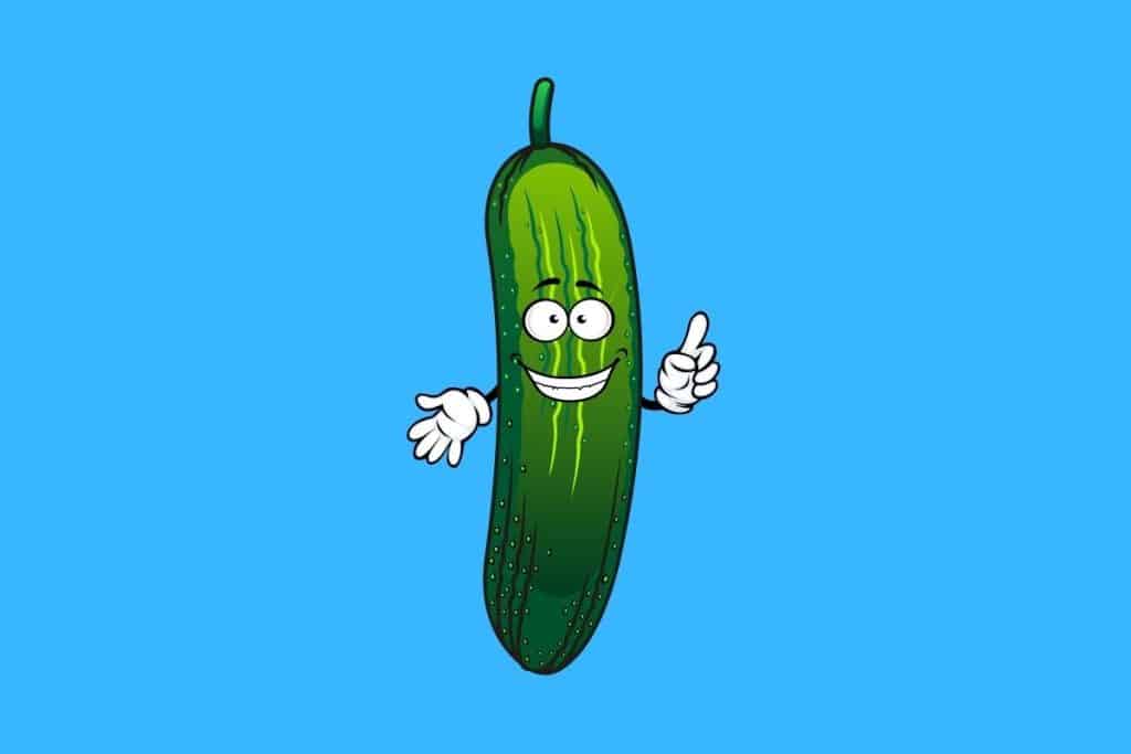 Cartoon graphic of a green pickle smiling holding its finger up on a blue background.