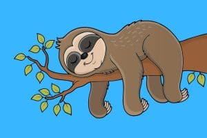 Cartoon graphic of a sleeping sloth on a branch on a blue background.